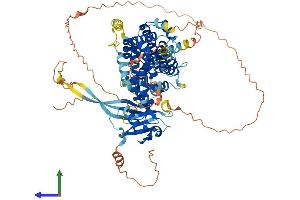 Protein Structure (PS) image for Ral Guanine Nucleotide Dissociation Stimulator-Like 1 (RGL1) (AA 1-768) protein (His tag) (ABIN7557594)