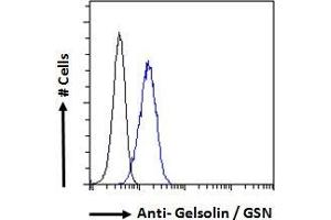 ABIN185735 Flow cytometric analysis of paraformaldehyde fixed HeLa cells (blue line), permeabilized with 0. (Gelsolin Antikörper  (Internal Region))