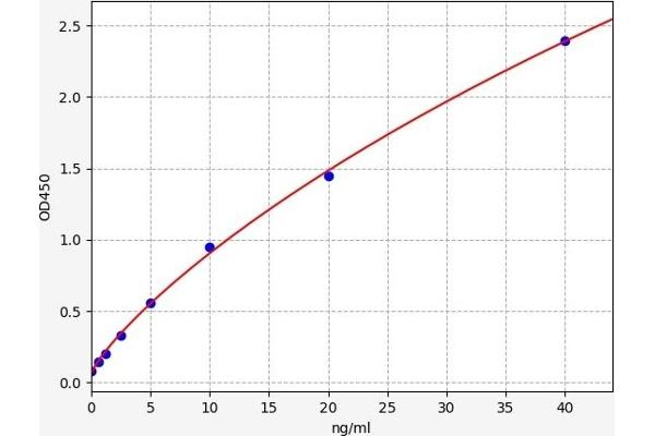 IGFBP2 ELISA Kit