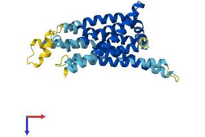 TAS2R7 Protein (AA 1-318) (His tag)