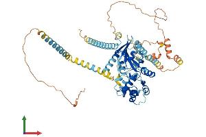Protein Structure (PS) image for Guanine Nucleotide Binding Protein-Like 3 (Nucleolar)-Like (GNL3L) (AA 1-577) protein (His tag) (ABIN7564133)