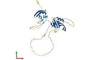 Protein Structure (PS) image for Par-6 Partitioning Defective 6 Homolog alpha (PARD6A) (AA 1-346) protein (His tag) (ABIN7556365)