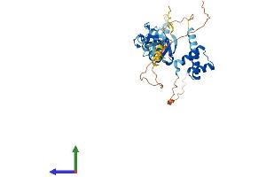 Protein Structure (PS) image for ISL LIM Homeobox 1 (ISL1) (AA 1-349) protein (His tag) (ABIN7548648)