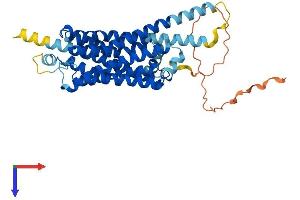 Serotonin Receptor 4 Protein (HTR4) (AA 1-388) (His tag)