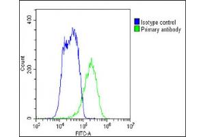 Flow Cytometry (FACS) image for anti-Solute Carrier Family 29 (Nucleoside Transporters), Member 1 (SLC29A1) (AA 402-431), (C-Term) antibody (ABIN387940)