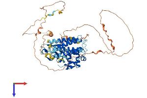 CNKSR3 Protein (AA 1-555) (His tag)