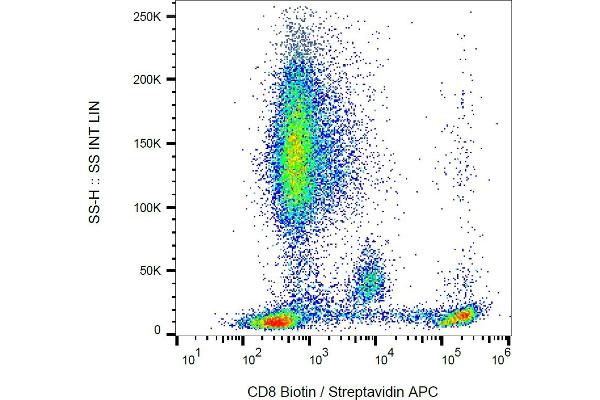 CD8 Antikörper  (Biotin)