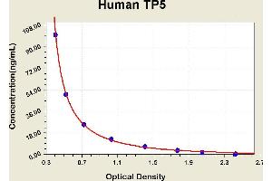 Diagramm of the ELISA kit to detect Human TP5with the optical density on the x-axis and the concentration on the y-axis.