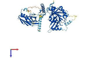 B4GALNT1 Protein (AA 1-533) (His tag)