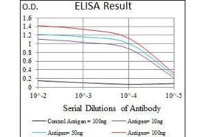 Black line: Control Antigen (100 ng), Purple line: Antigen(10 ng), Blue line: Antigen (50 ng), Red line: Antigen (100 ng), (T Antigen (AA 257-309) Antikörper)