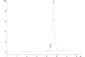 Size-exclusion chromatography-High Pressure Liquid Chromatography (SEC-HPLC) image for CD47 (CD47) (AA 19-141) protein (His tag) (ABIN7274217)