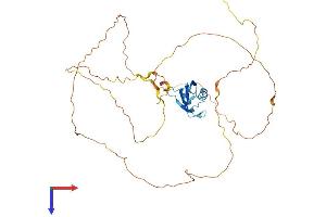 RBMXL1 Protein (AA 1-390) (His tag)