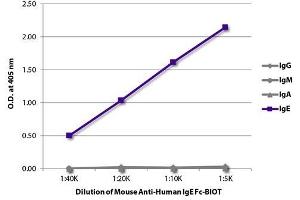 ELISA plate was coated with purified human IgG, IgM, IgA, and IgE. (Maus anti-Human IgE (Fc Region) Antikörper (Biotin))