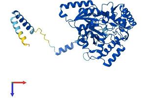 SPTLC1 Protein (AA 1-473) (His tag)