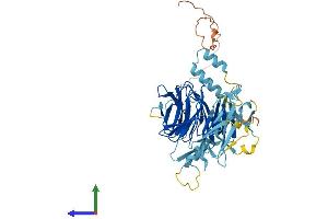 Protein Structure (PS) image for DDB1 and CUL4 Associated Factor 4 (DCAF4) (AA 1-495) protein (His tag) (ABIN7546975)