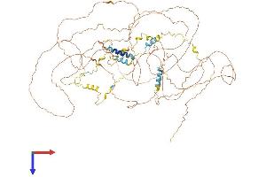 AlphaFold protein structure predicition of Mouse Recombinant Bclaf1 Protein, UniprotID Q8K019