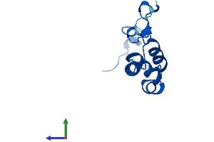 Protein Structure (PS) image for NADH Dehydrogenase (Ubiquinone) Fe-S Protein 5, 15kDa (NADH-Coenzyme Q Reductase) (NDUFS5) (AA 1-106) protein (His tag) (ABIN7560390)