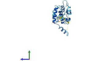 AlphaFold protein structure predicition of Human Recombinant TAGLN3 Protein, UniprotID Q9UI15