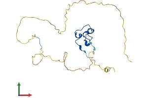 Protein Structure (PS) image for CXXC Finger Protein 4 (CXXC4) (AA 1-198) protein (His tag) (ABIN7546877)