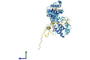 Protein Structure (PS) image for Pre-mRNA Processing Factor 31 (PRPF31) (AA 1-499) protein (His tag) (ABIN7559246)