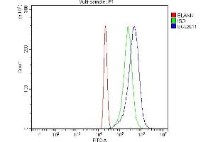 Flow Cytometry analysis of HL-60 cells using anti-Bim/BCL2L11 antibody (ABIN7602855).