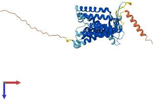 H13 Protein (AA 1-377) (His tag)
