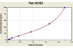 Diagramm of the ELISA kit to detect Rat NOS2with the optical density on the x-axis and the concentration on the y-axis. (NOS2 ELISA Kit)