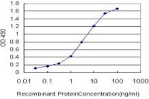 Detection limit for recombinant GST tagged MARCKSL1 is approximately 0. (MARCKSL1 Antikörper  (AA 107-195))