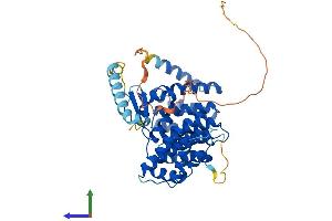 Protein Structure (PS) image for Interferon Related Developmental Regulator 1 (IFRD1) (AA 1-449) protein (His tag) (ABIN7562936)