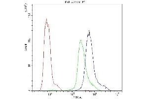 Flow Cytometry analysis of MCF-7 cells using anti-PKC-eta antibody (ABIN3043361). (PKC eta Antikörper  (AA 30-389))