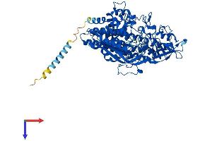 NAALAD2 Protein (AA 1-740) (His tag)