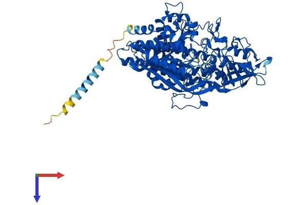 NAALAD2 Protein (AA 1-740) (His tag)