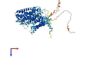 SLC7A4 Protein (AA 1-635) (His tag)