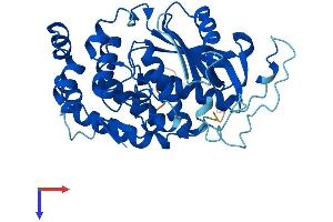 AMZ2 Protein (AA 1-360) (His tag)