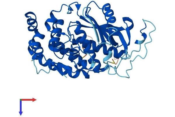 AMZ2 Protein (AA 1-360) (His tag)