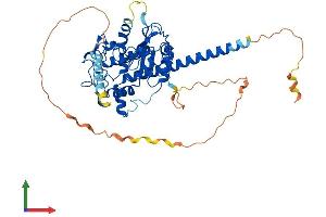 Protein Structure (PS) image for Heparan Sulfate 6-O-Sulfotransferase 3 (HS6ST3) (AA 1-471) protein (His tag) (ABIN7548257)