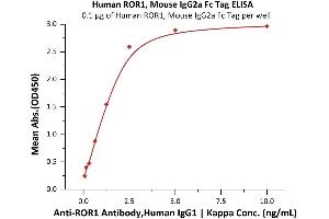 ELISA image for Receptor Tyrosine Kinase-Like Orphan Receptor 1 (ROR1) (AA 30-403) (Active) protein (Fc Tag) (ABIN6992324)