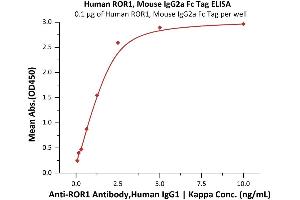 Immobilized Human / Cynomolgus / Rhesus macaque ROR1, Mouse IgG2a Fc Tag (ABIN6992324) at 1 μg/mL (100 μL/well) can bind A Antibody,Human IgG1 | Kappa with a linear range of 0.