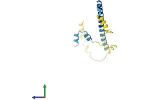 Protein Structure (PS) image for Complexin 2 (CPLX2) (AA 1-134) protein (His tag) (ABIN7556759)
