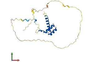 Protein Structure (PS) image for Homeobox C5 (HOXC5) (AA 1-222) protein (His tag) (ABIN7563126)