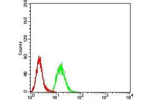 Flow cytometric analysis of Hela cells using ESRRA mouse mAb (green) and negative control (red). (ESRRA Antikörper  (AA 198-376))