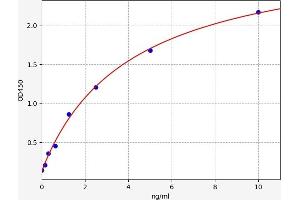 LRP1 ELISA Kit