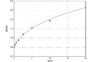 Low Density Lipoprotein Receptor-Related Protein 6 (LRP6) ELISA Kit