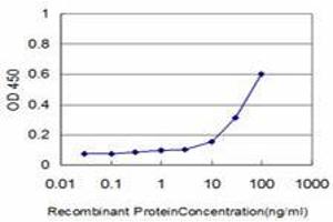 Image no. 3 for anti-CSE1 Chromosome Segregation 1-Like (CSE1L) (AA 872-972) antibody (ABIN465994) (Exportin 2 Antikörper  (AA 872-972))