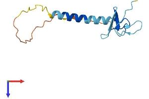 AlphaFold protein structure predicition of Human Recombinant LIMS3 Protein, UniprotID P0CW19