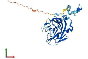 AlphaFold protein structure predicition of Human Recombinant SPSB2 Protein, UniprotID Q99619 (SPSB2 Protein (AA 1-263) (His tag))