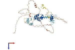 FBXO5 Protein (AA 1-447) (His tag)