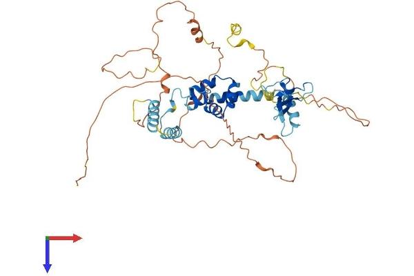FBXO5 Protein (AA 1-447) (His tag)