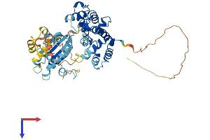 ARHGAP8 Protein (AA 1-464) (His tag)