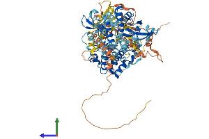 Protein Structure (PS) image for Ribosomal Protein S6 Kinase A4 (RPS6KA4) (AA 1-773) protein (His tag) (ABIN7565294)
